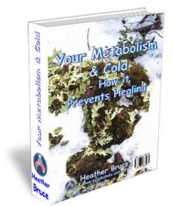 your-metabolism-and-cold-3d